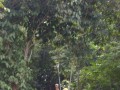 Tn DSC 4300